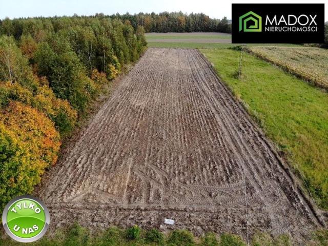 Działka 3 600 m², Borowno