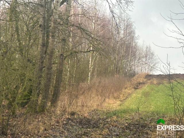 Działka 3 600 m², Koziki