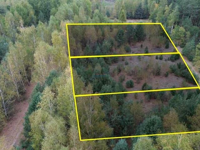Działka 3 600 m², Wola Prażmowska