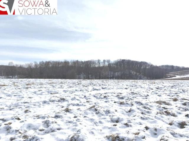 Działka 3 600 m², Wałbrzych