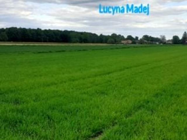 Działka 3 600 m², Zator