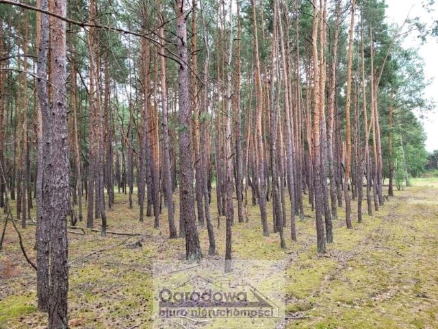 Działka 2 399 m², Popowo Letnisko