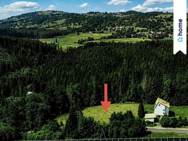 Działka 3 637 m², Laliki