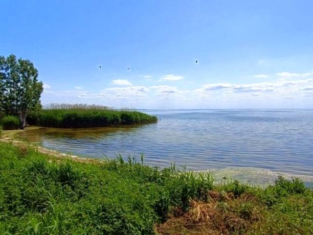 Działka 3 648 m², Płocin