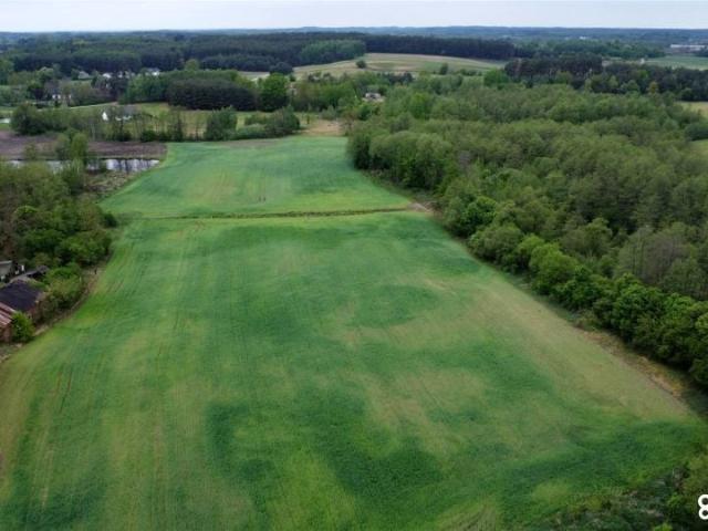 Działka 3 640 m², Ostrowite