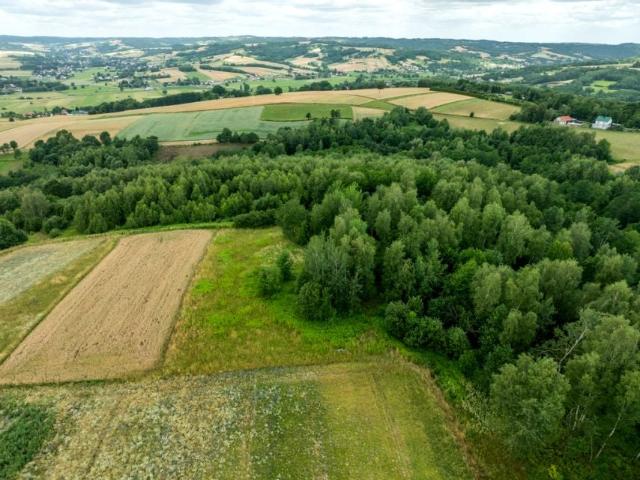 Działka 3 654 m², Broniszów