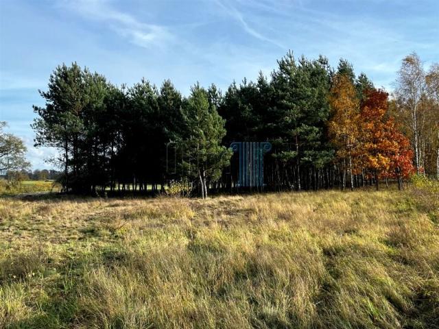 Działka 3 650 m², Nowe Dąbie