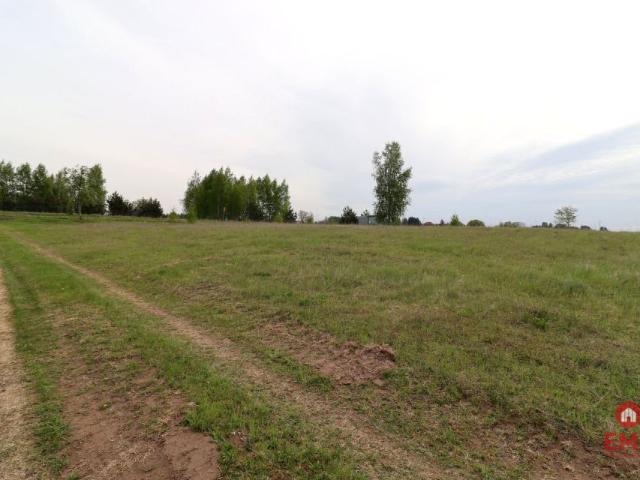 Działka 3 650 m², Piecki