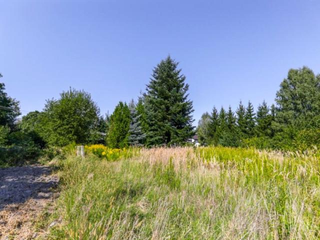 Działka 3 667 m², Żabia Wola
