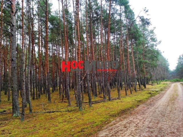 Działka 3 672 m², Huta Podgórna