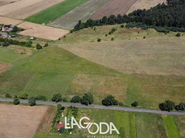 Działka 3 704 m², Świniary