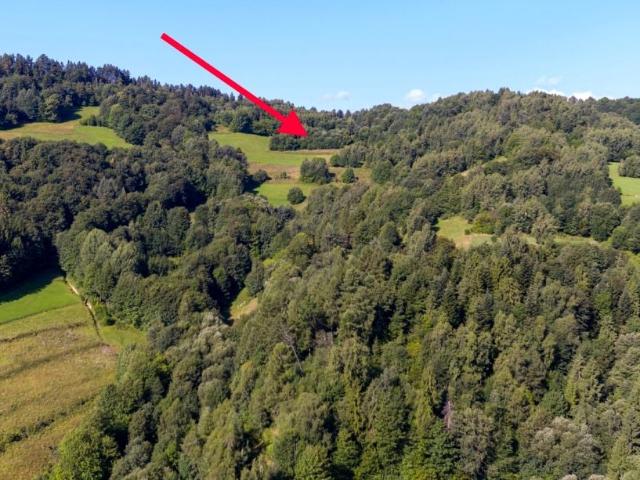 Działka 3 707 m², Ochotnica Dolna