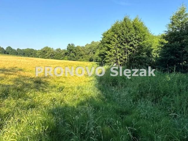 Działka 3 700 m², Borkowice