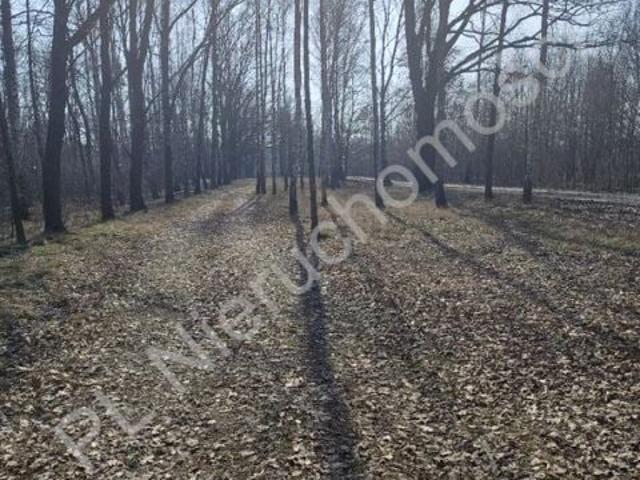 Działka 3 717 m², Milanówek