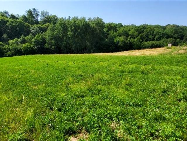 Działka 3 711 m², Chorowice