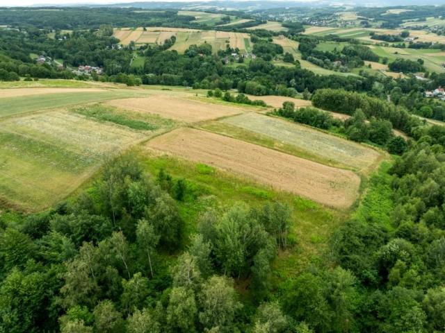 Działka 3 763 m², Broniszów