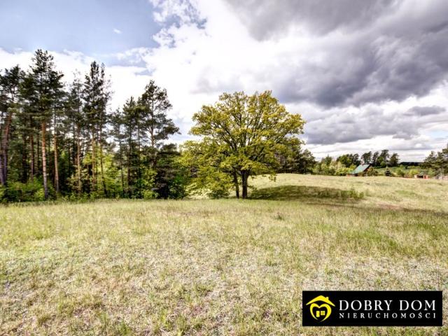 Działka 3 777,48 m², Gawrych Ruda