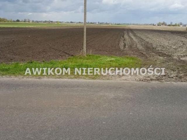 Działka 3 772 m², Brwinów
