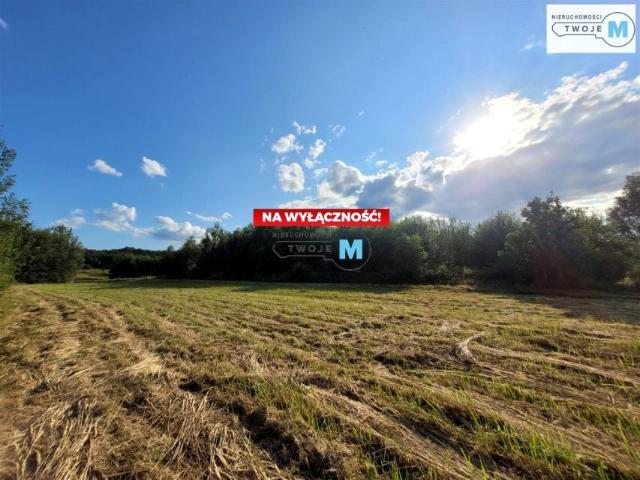 Działka 3 797 m², Masłów Drugi