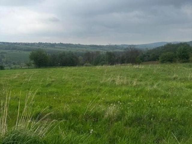 Działka 3 800 m², Bochnia