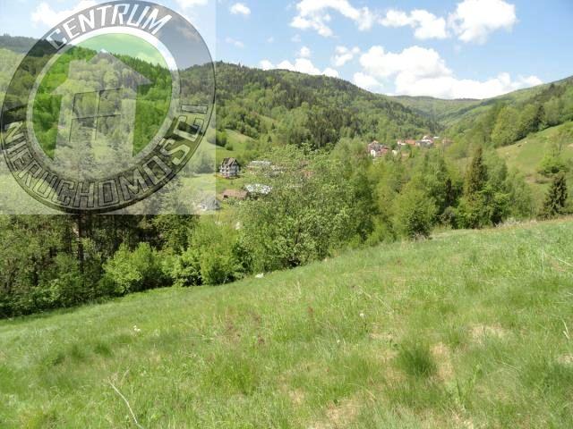 Działka 3 800 m², Ochotnica Dolna