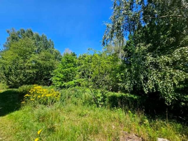 Działka 3 800 m², Milanówek
