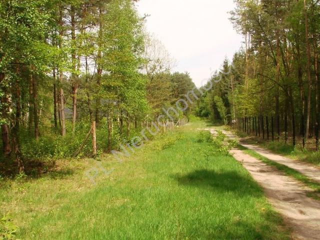 Działka 3 800 m² pod dom jednorodzinny w Książenicach