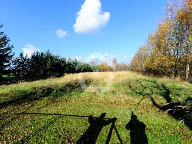 Działka 3 800 m², Trzciana