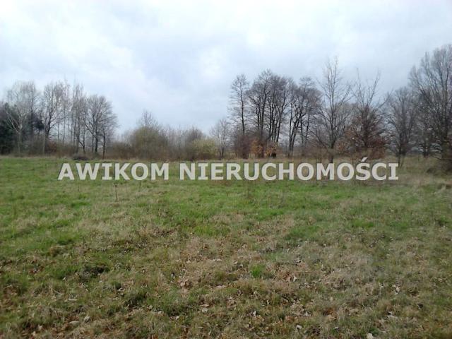 Działka 3 816 m², Grodzisk Mazowiecki
