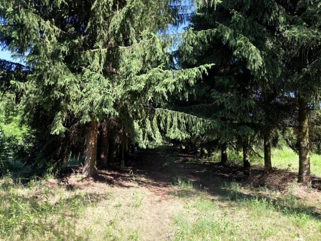 Działka 3 845 m², Wiązowna