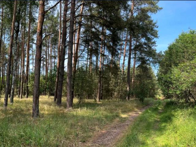 Działka 3 848 m², Trzebule