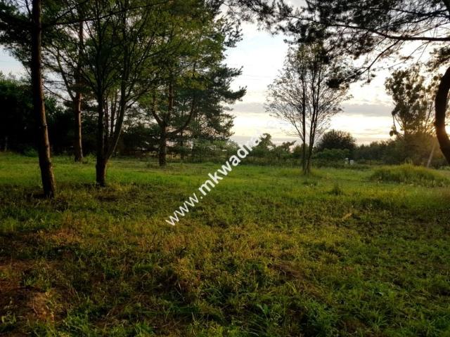 Działka 3 894 m², Radziejowice Parcel