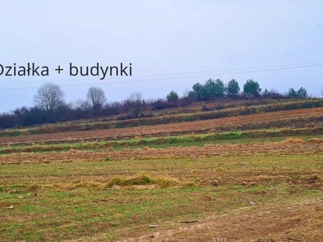 Działka 3,8 ha z budynkami, lasem i potencjałem biznesowym