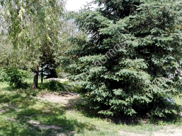 Działka 3 900 m², Grabce Towarzystwo