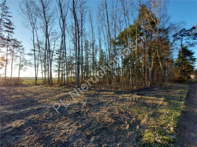Działka 3 900 m², Mokra Wieś