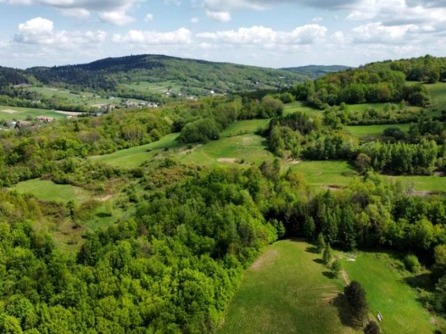 Działka 3 900 m², Sękowa