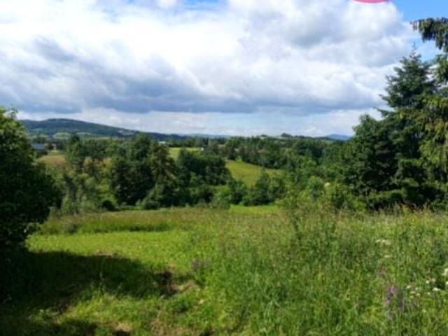 Działka 3 900 m², Łużna