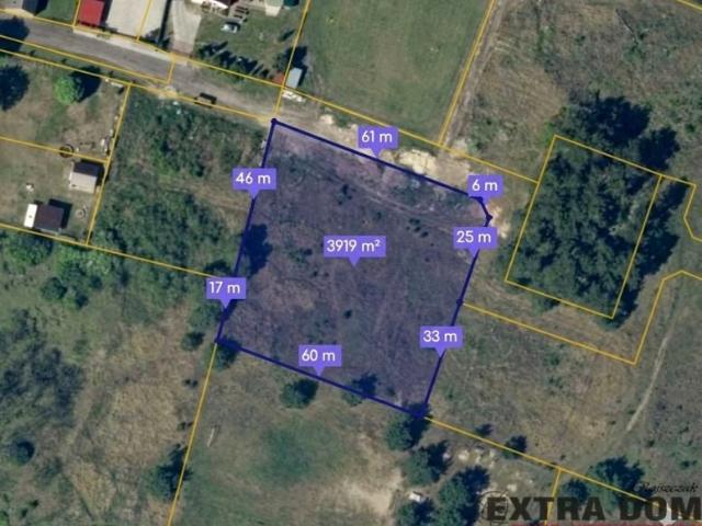 Działka 3 919 m², Borzysławiec