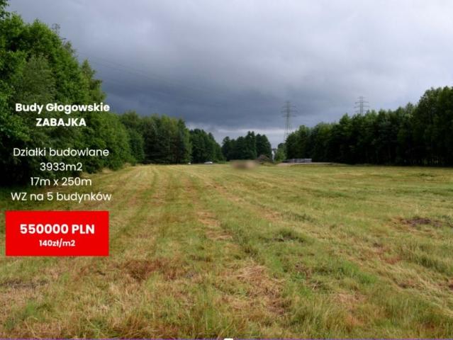 Działka 3 933 m², Budy Głogowskie