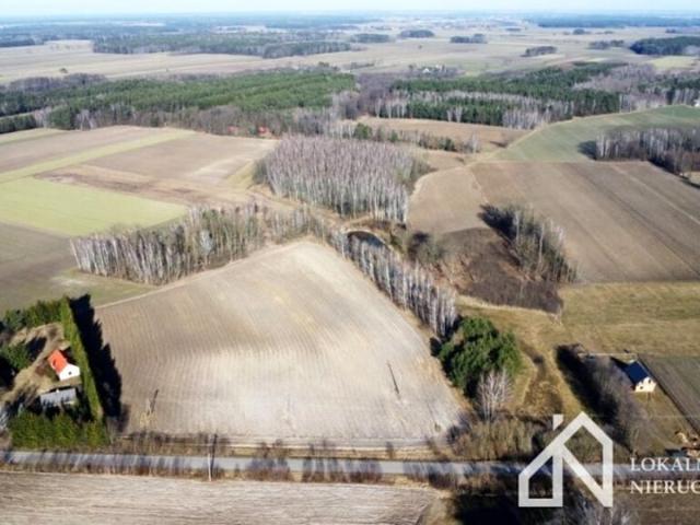 Działka 3 946 m², Jasień