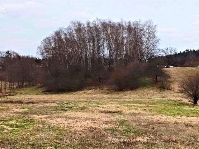 Działka 3 964 m², Jastrzębie Zdrój
