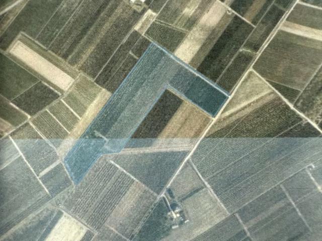 Działka 44 200 m², Wólka Kurdybanowska