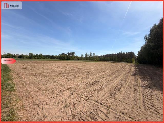 Działka 4500 m² w sercu Borów Tucholskich, las, cisza