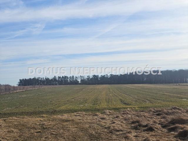 Działka 4500 m² pod zabudowę jednorodzinną i siedliskową