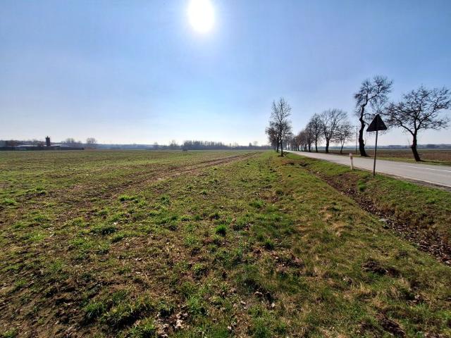 Działka 52 900 m², Niwna