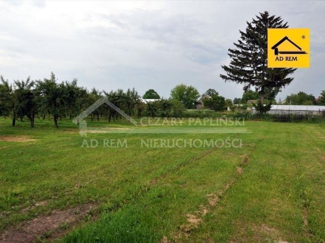 Działka 45 000 m² z drogą dojazdową i podziałem