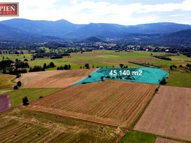 Działka 45 140 m², Kostrzyca