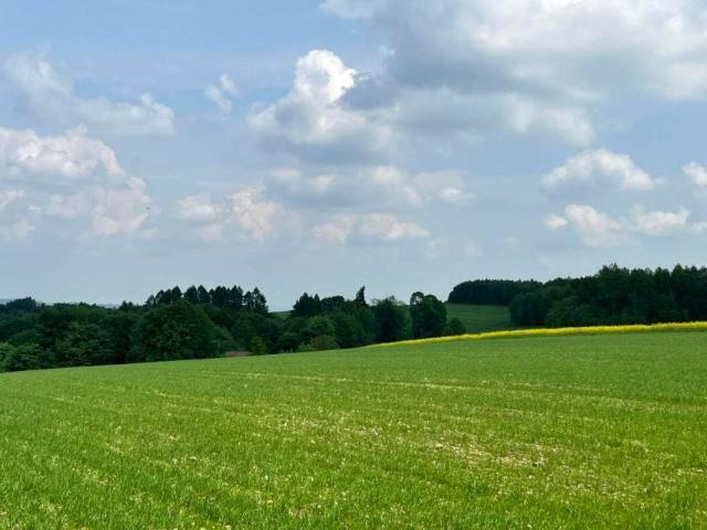 Działka 45 700 m², Lutcza