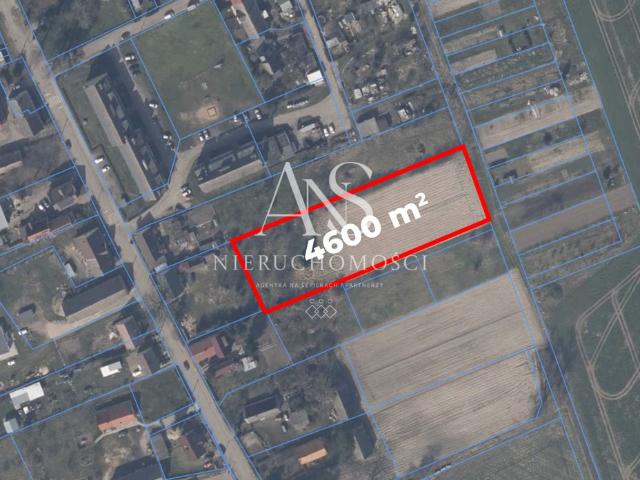 Działka 4600 m² z warunkami zabudowy w Starej Dąbrowie