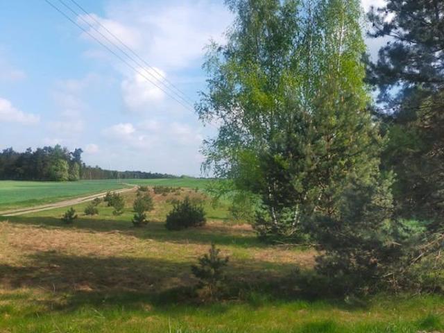 Działka 4600 m² blisko lasu, media, spokój